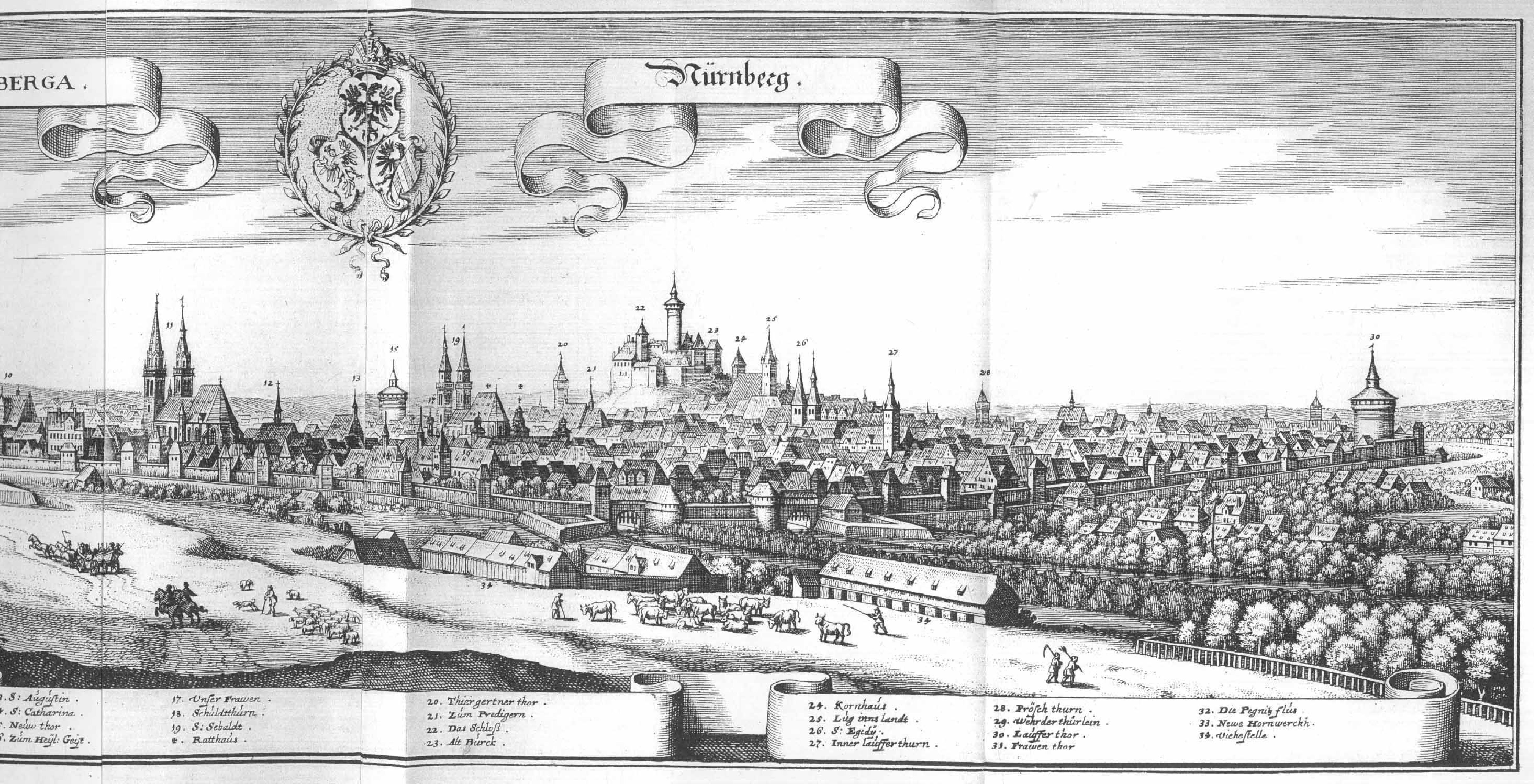 De Merian Frankoniae 093