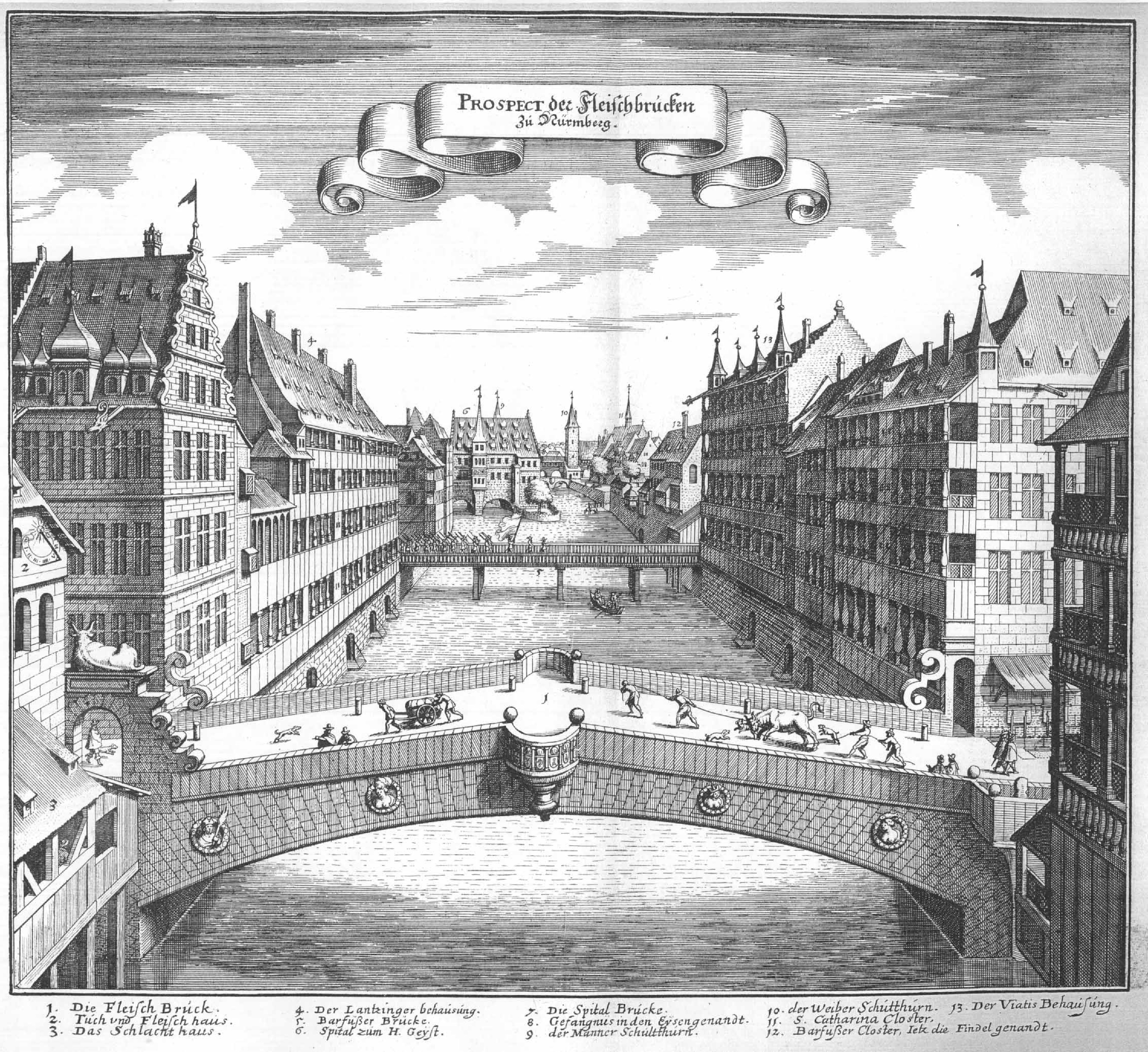 De Merian Frankoniae 101