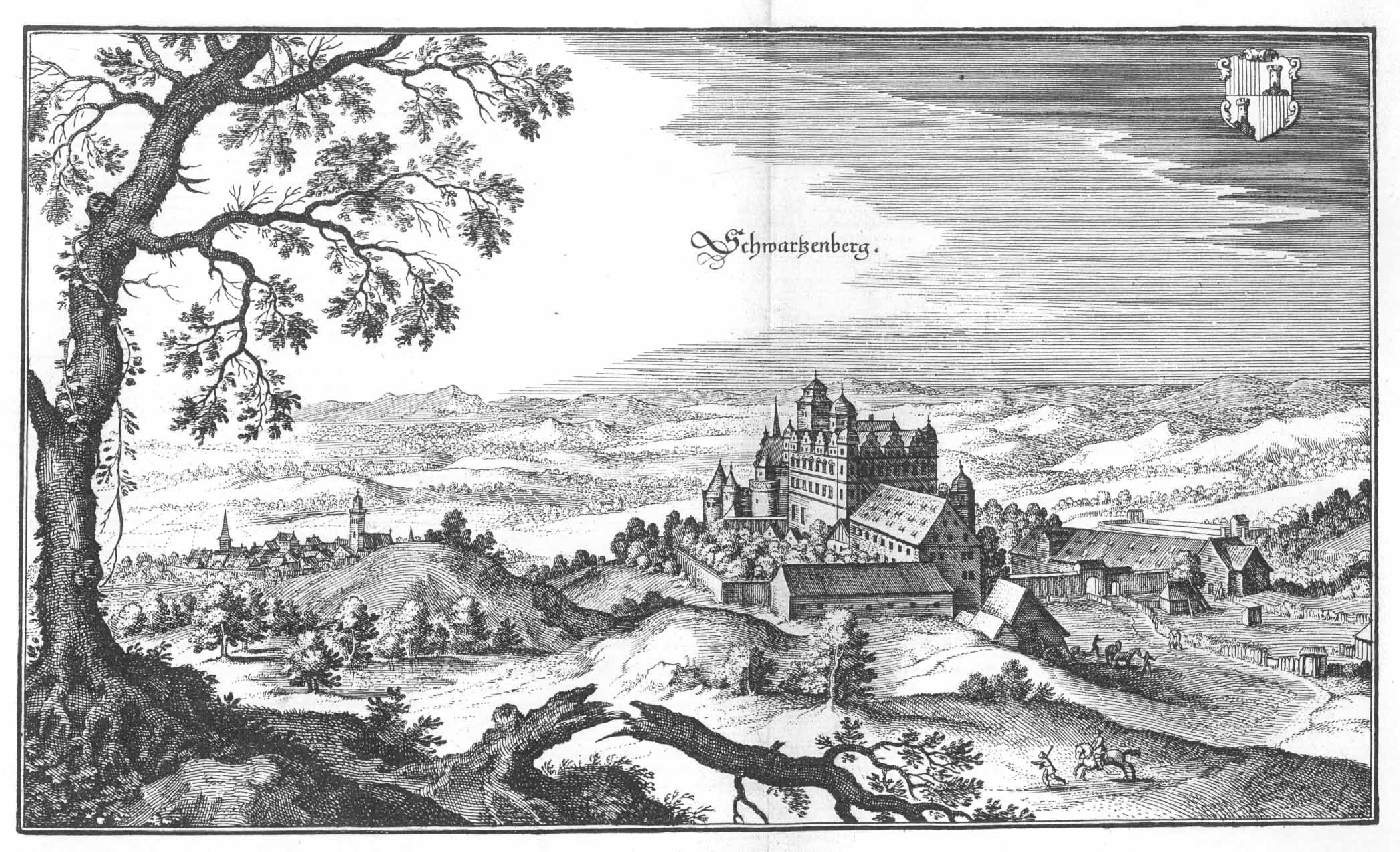 De Merian Frankoniae 127