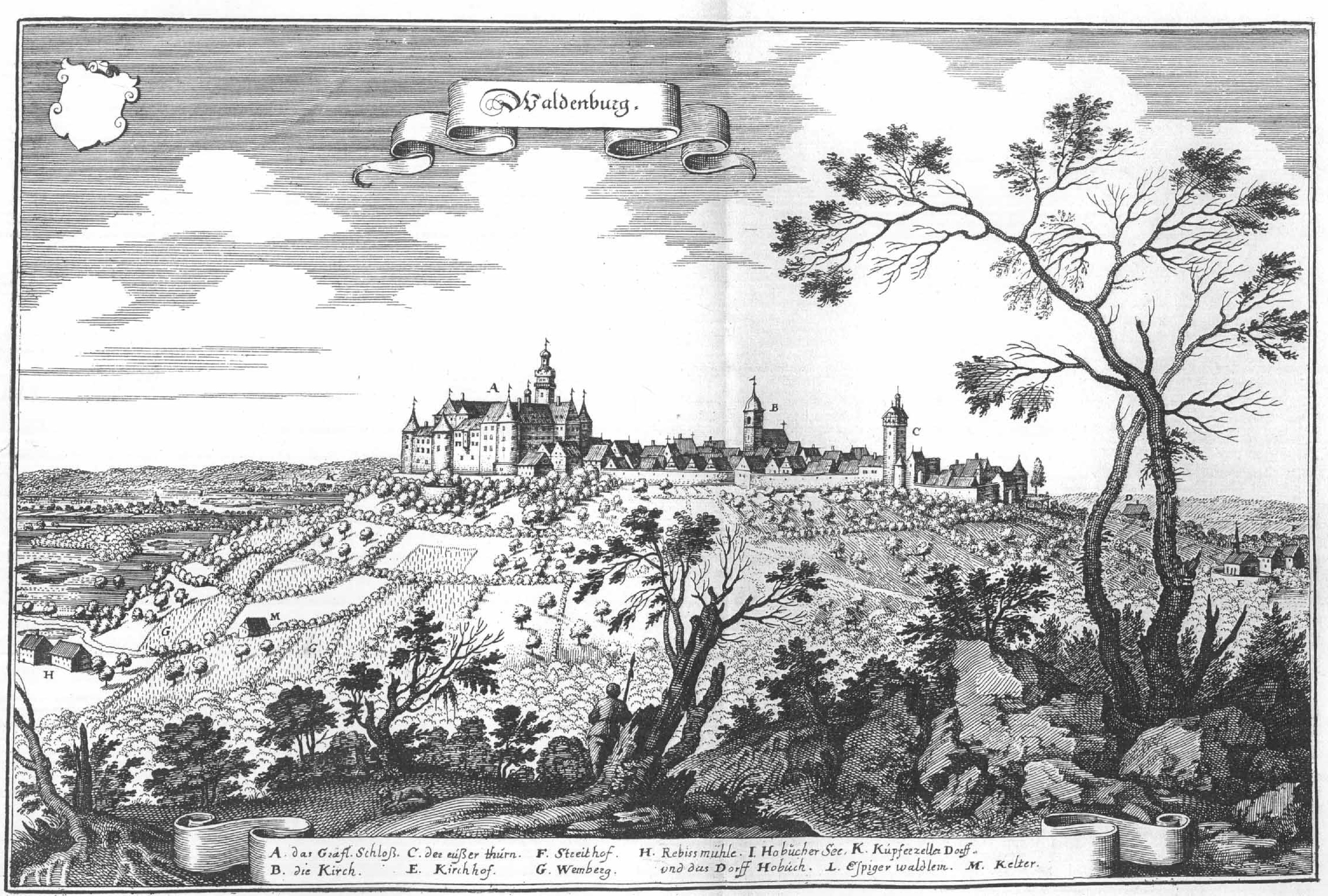 De Merian Frankoniae 141