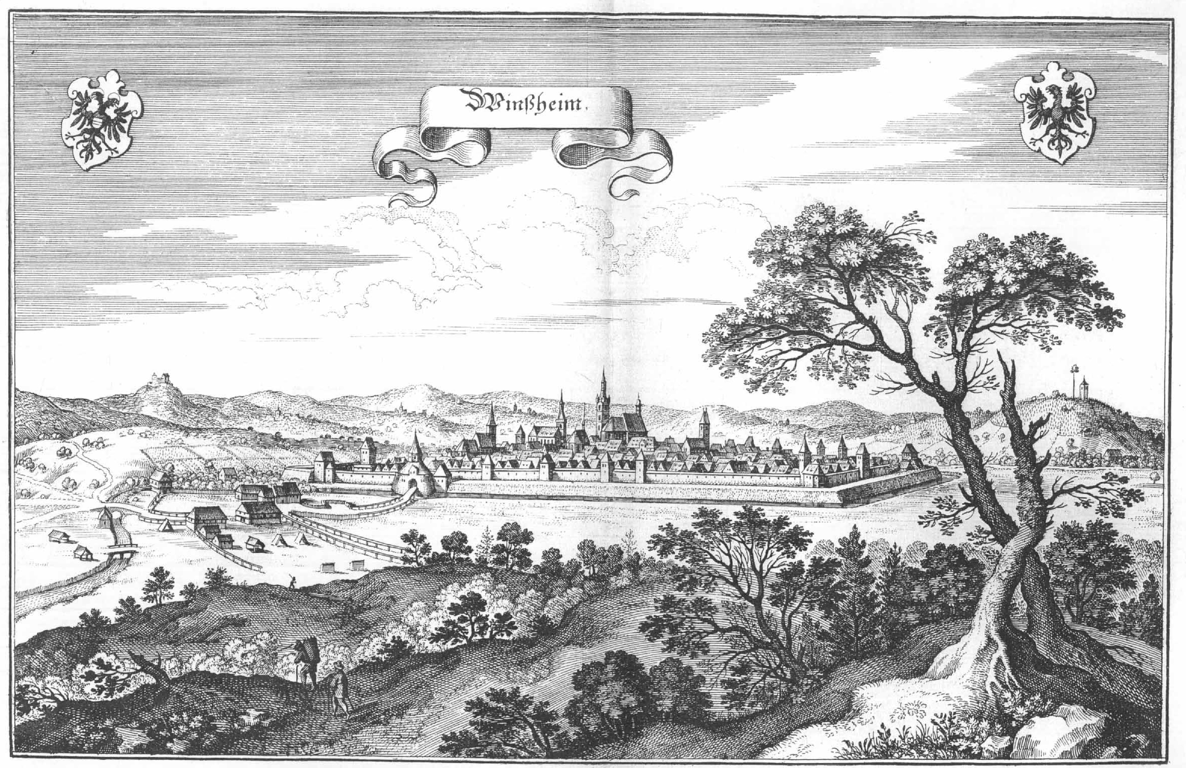 De Merian Frankoniae 148