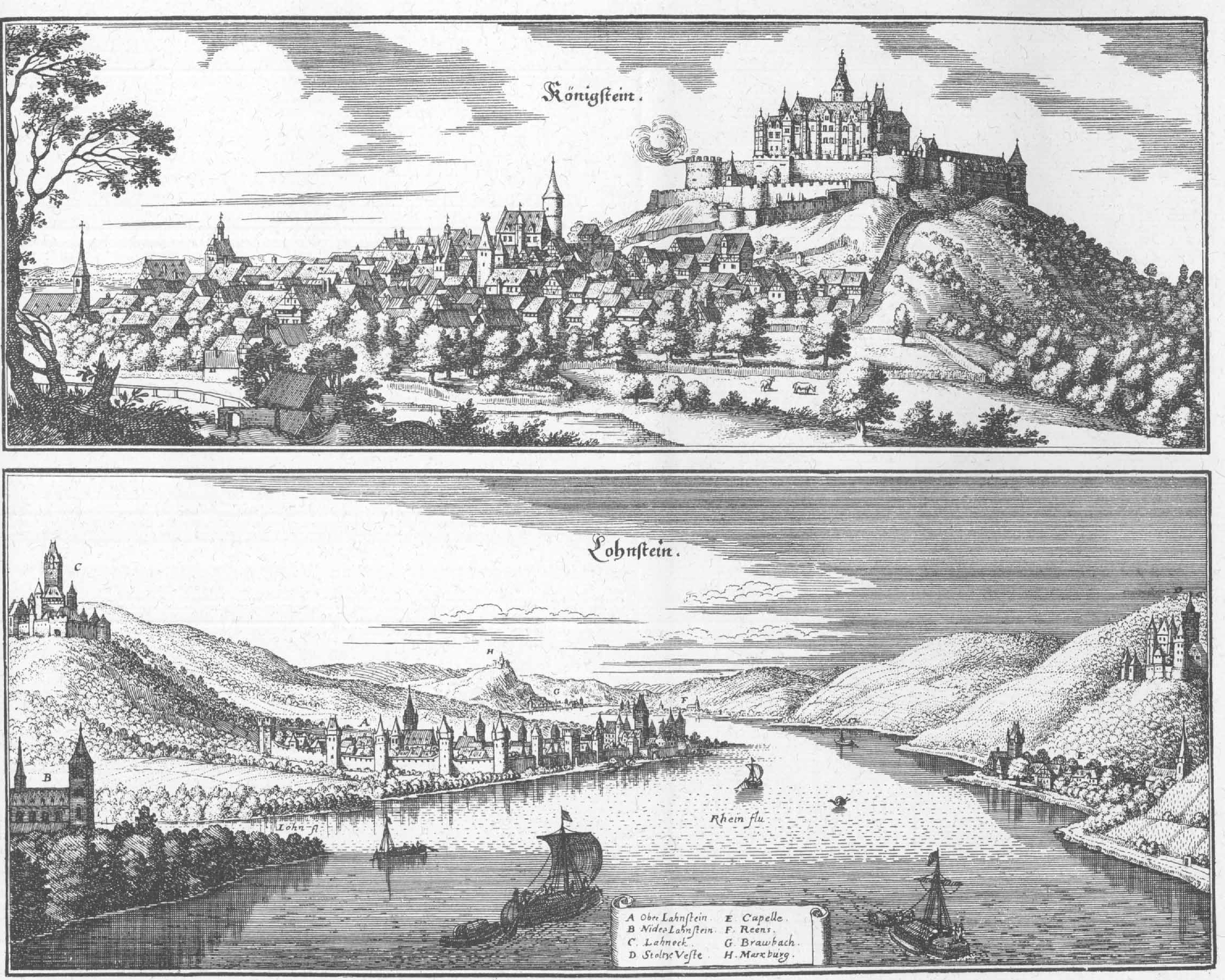 De Merian Hassiae 263