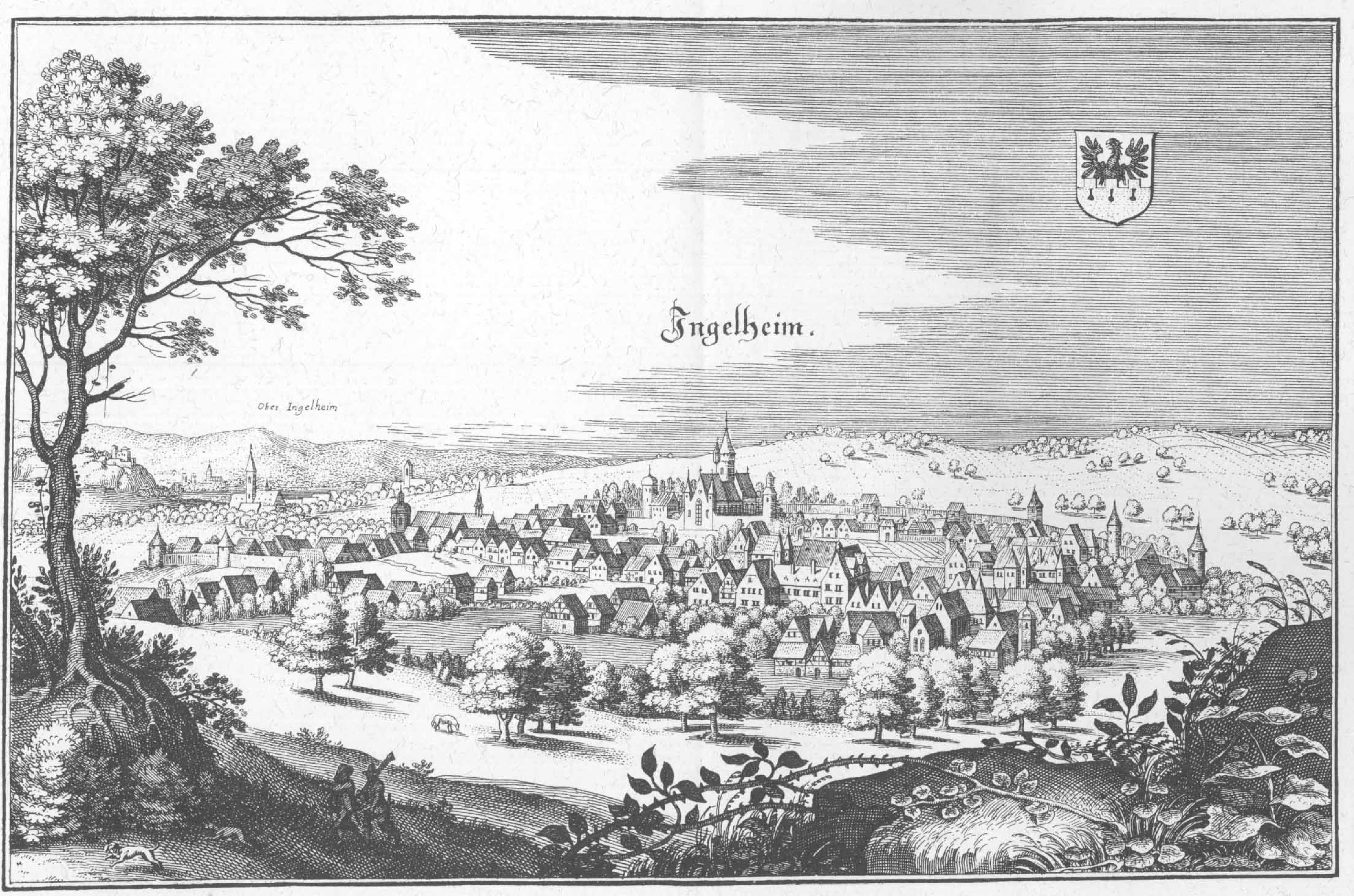 De Merian Hassiae 285