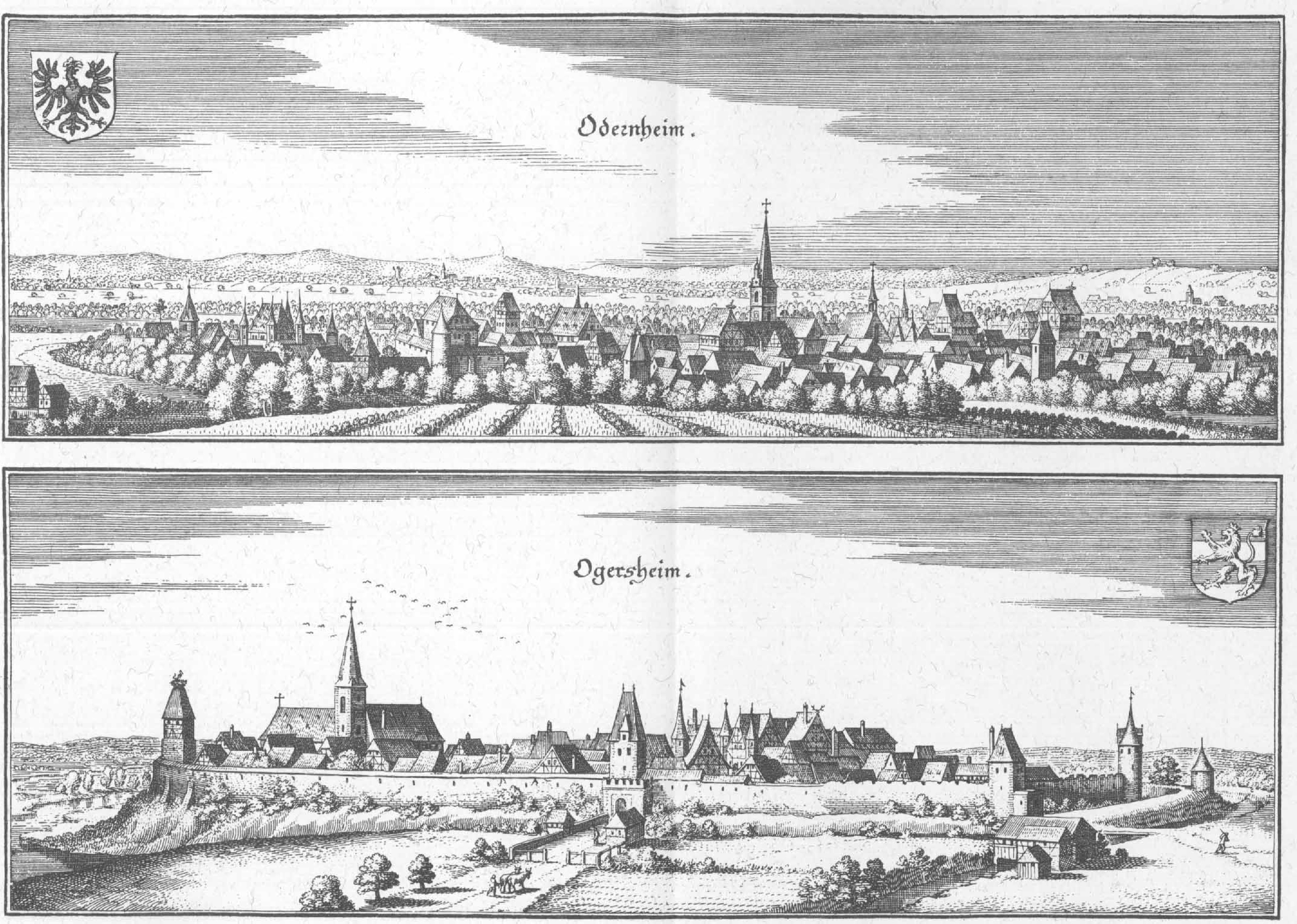 De Merian Hassiae 286