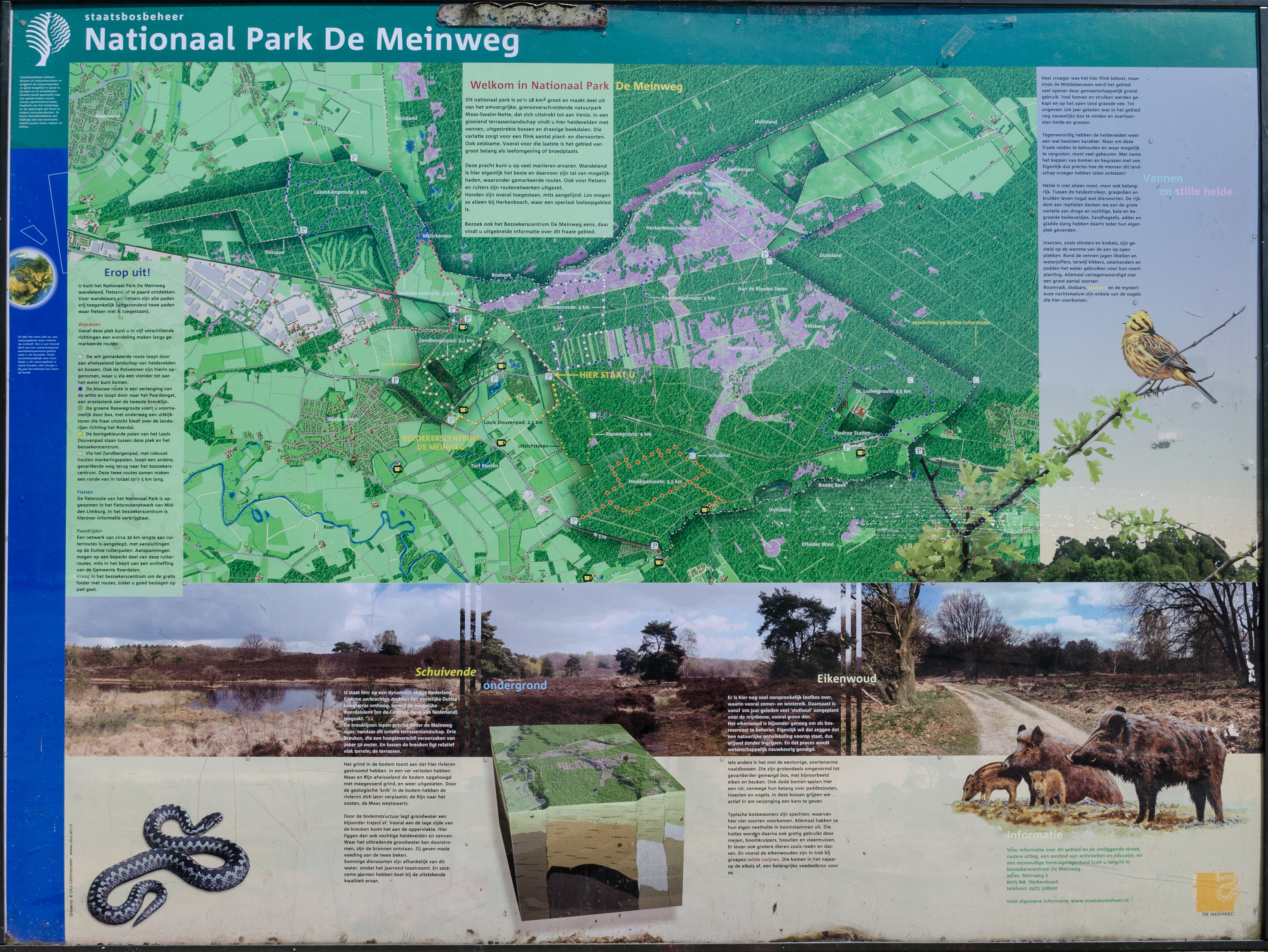 Information-Table-De-Meinweg