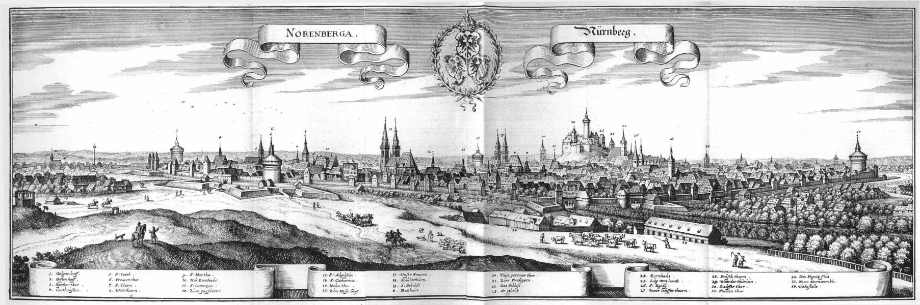 De Merian Frankoniae 092