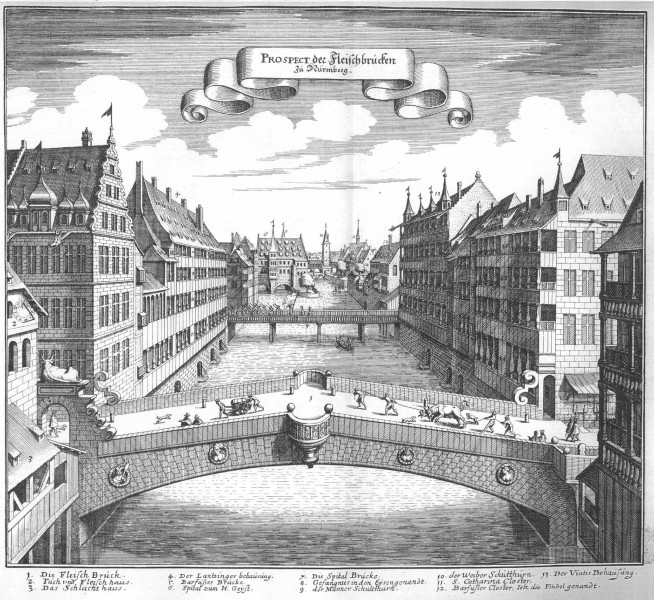 De Merian Frankoniae 101