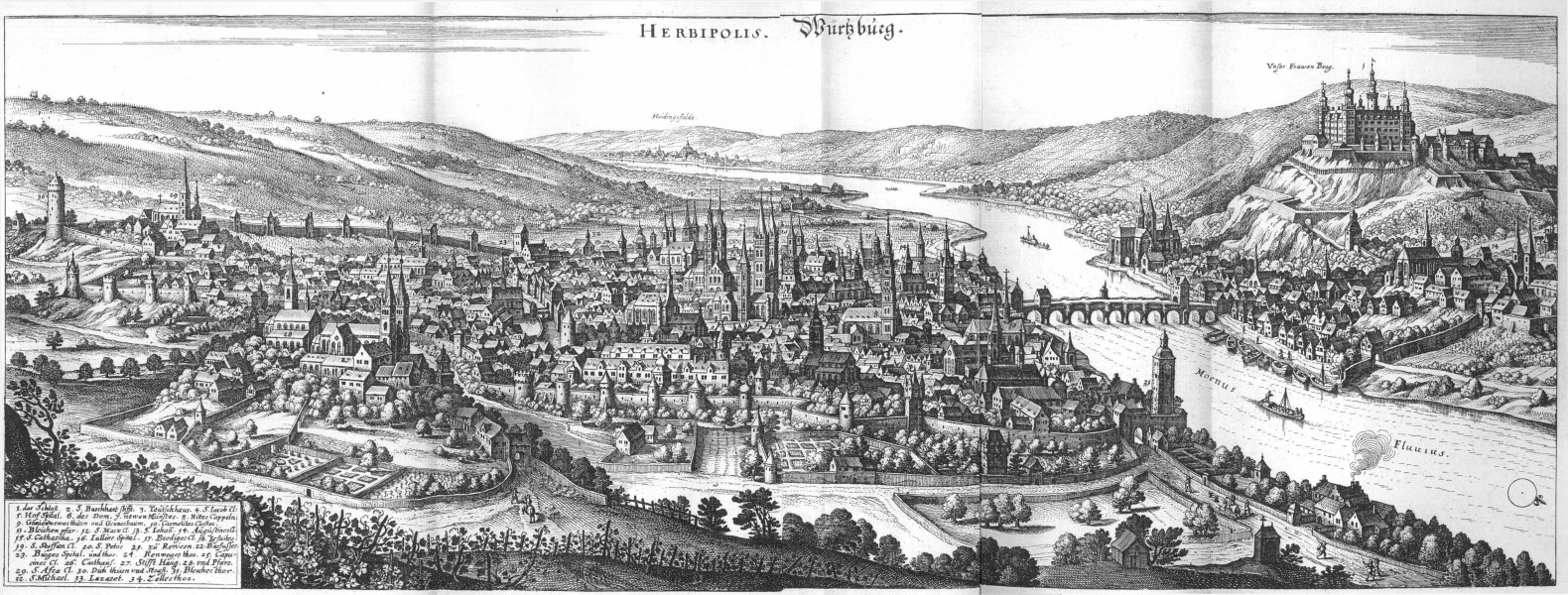 De Merian Frankoniae 154