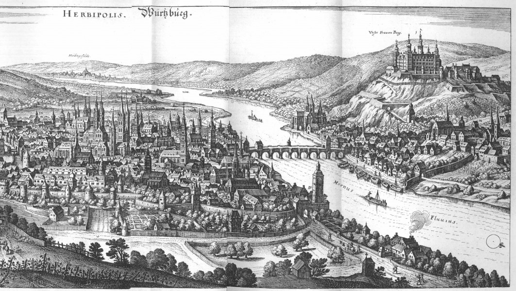 De Merian Frankoniae 155