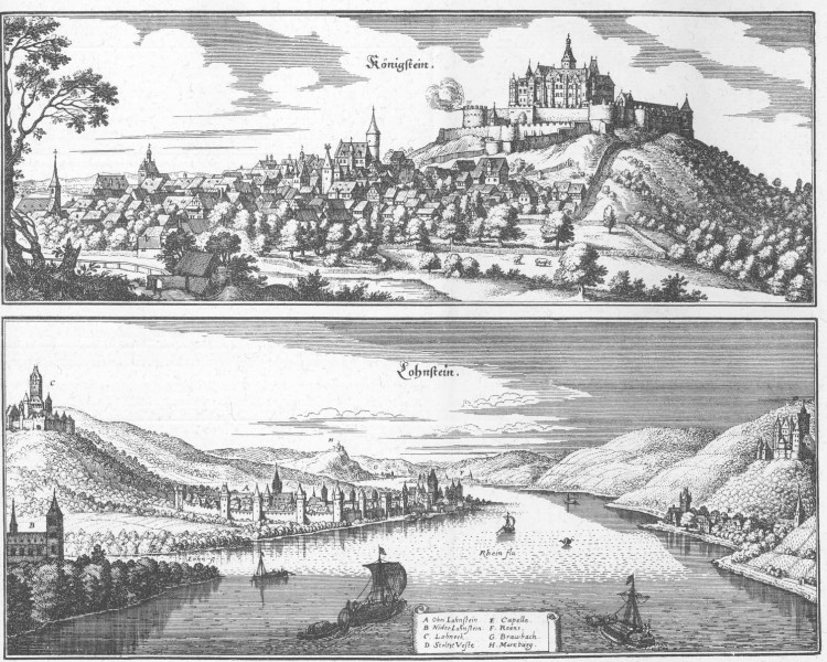 De Merian Hassiae 263