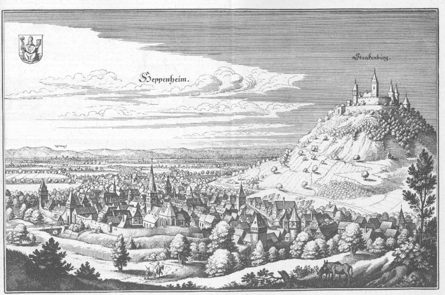 De Merian Hassiae 284