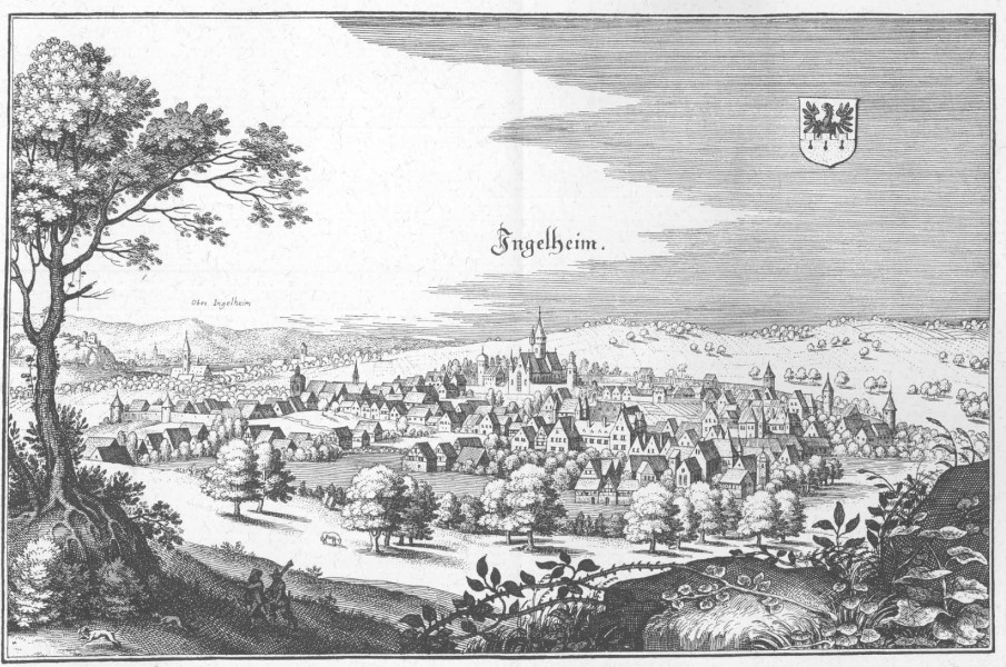 De Merian Hassiae 285