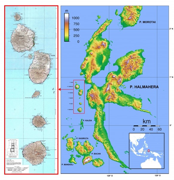 Halmahera - Ternate - Tidore - Mare - Moti - Makian (1)