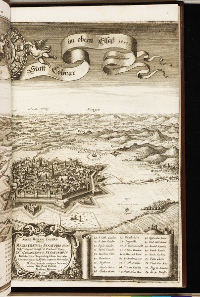 Topographia Alsatiae (Merian) 042