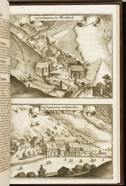 Topographia Alsatiae (Merian) 095