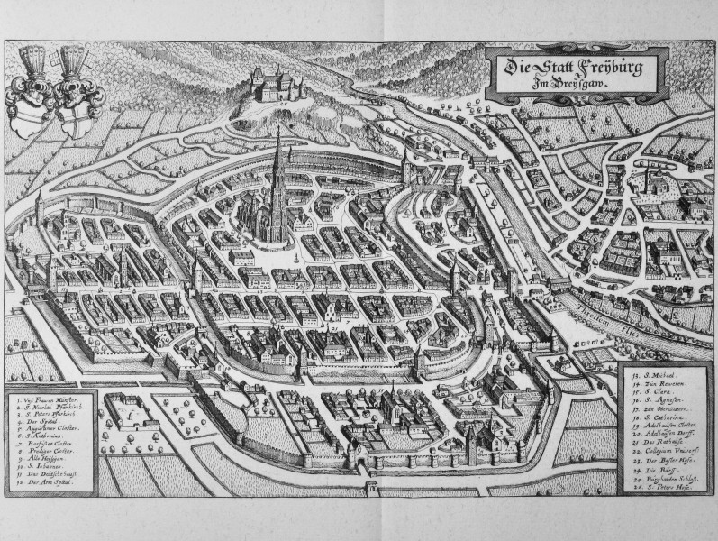 Topographia Alsatiae (Merian) p 009