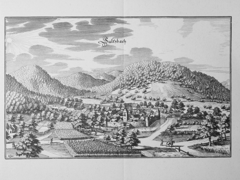 Topographia Alsatiae (Merian) p 025