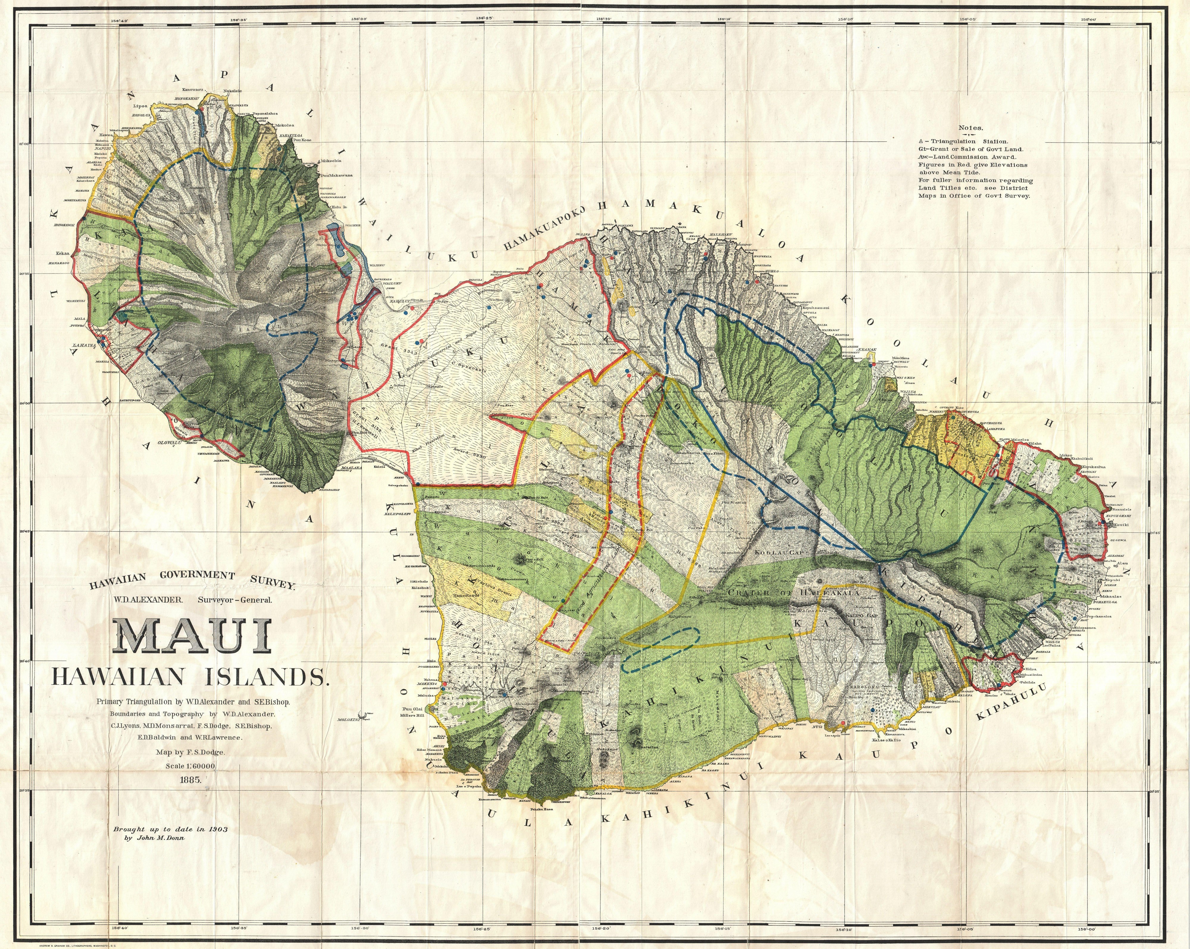 1885 De Witt Alexander Wall Map of Maui, Hawaii - Geographicus - Maui-lo-1885