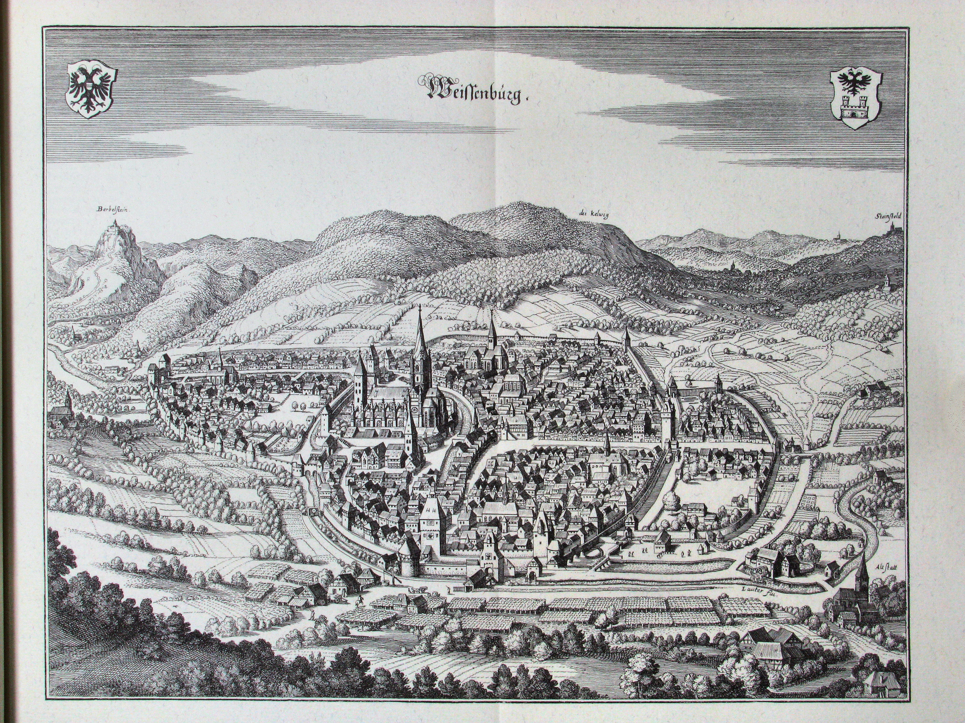 Topographia Alsatiae (Merian) p 026