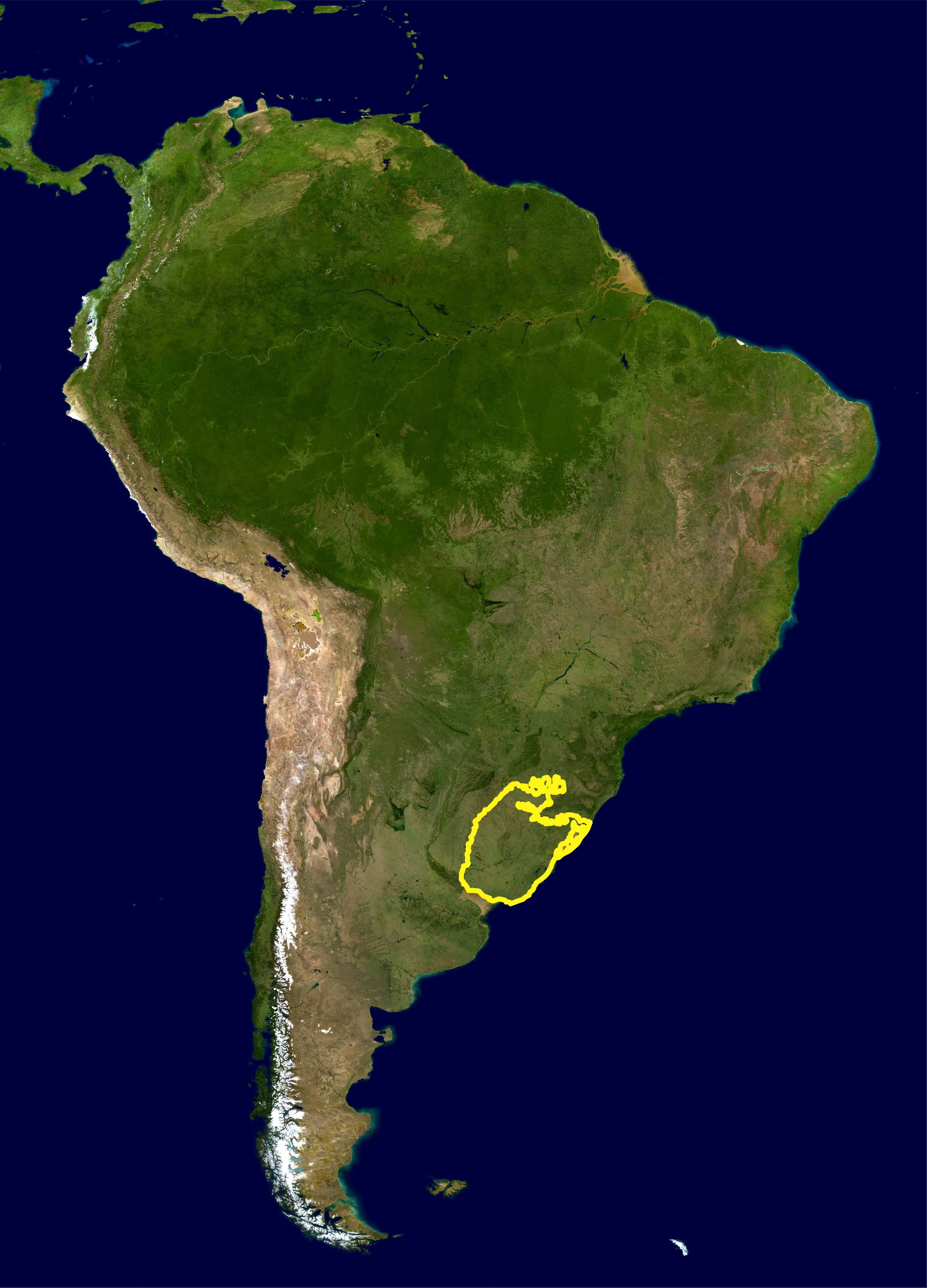 Uruguayn savannah WWF