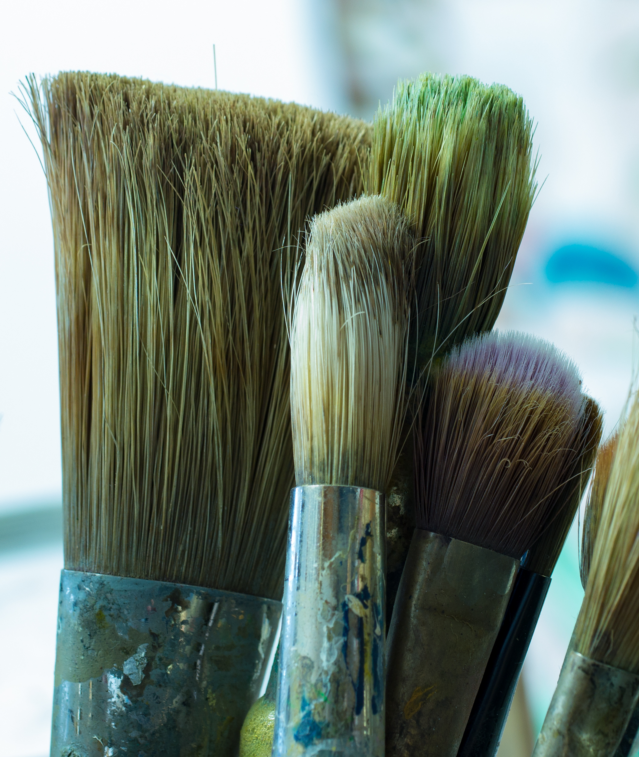Paint brushes (30804)