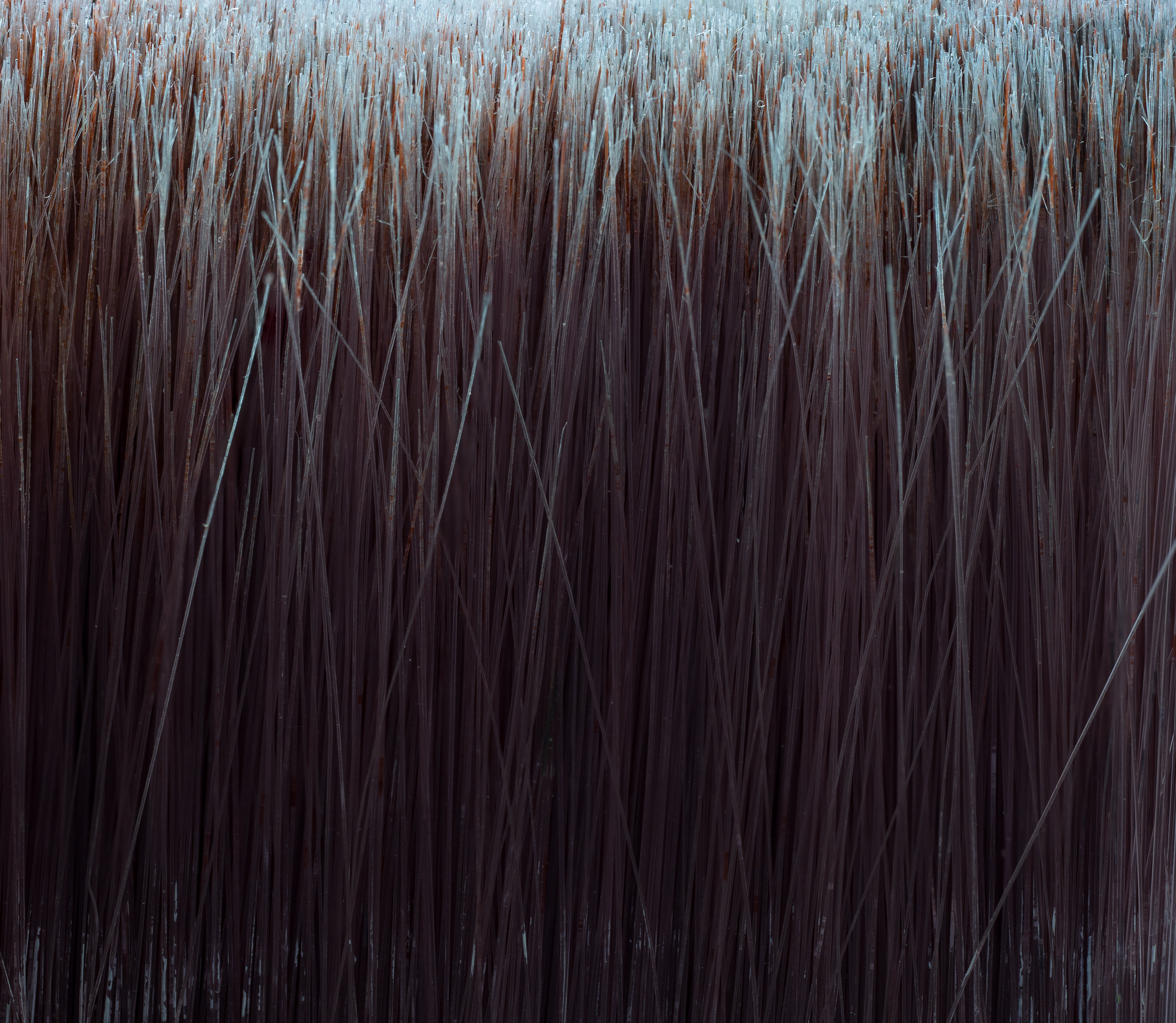Paintbrush closeup