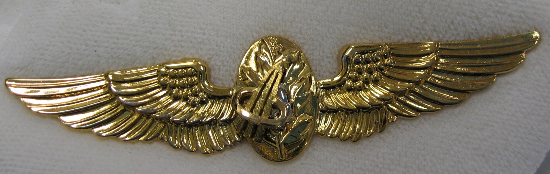 2007-5-120 Uniform, Insignia, Pin, Astronaut (5579826908)
