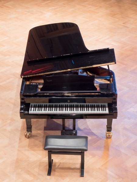 Kissingen Steinway & Sons piano 0417RM0613