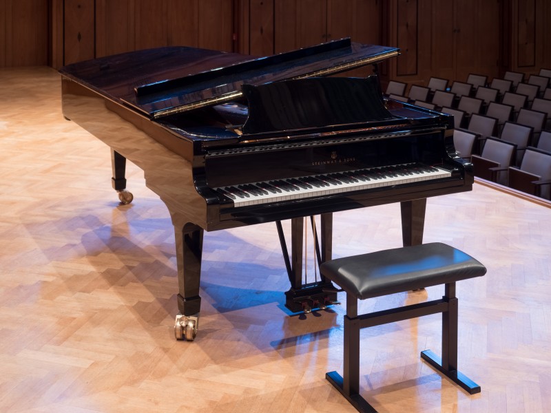Kissingen Steinway Regentenbau 0417RM0593