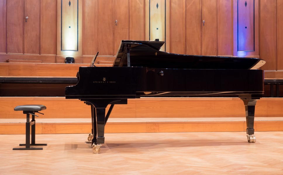 Kissingen Steinway Regentenbau 0417RM0597