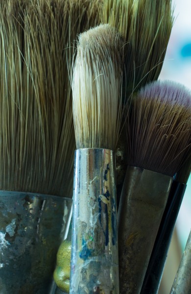 Paint brushes (30800)