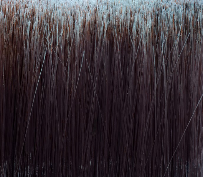 Paintbrush closeup