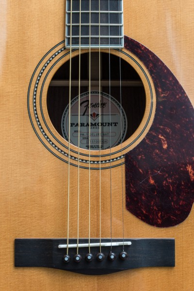 Paramount Series acoustic guitars