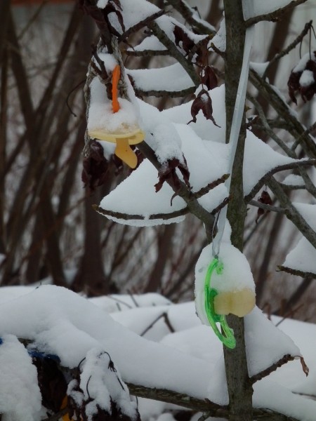 Vereiste Schnuller am Schnullerbaum