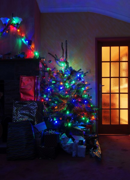 Wraxall 2013 MMB 93 Christmas Tree