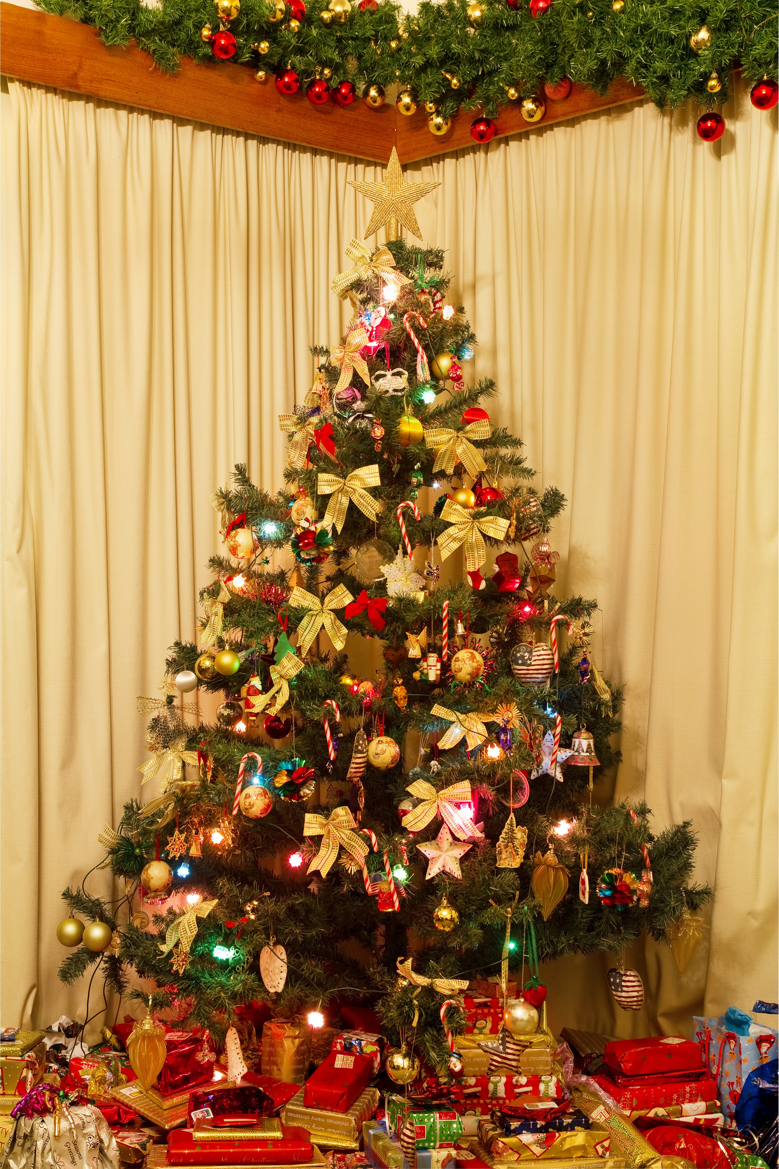 Christmas Tree NS