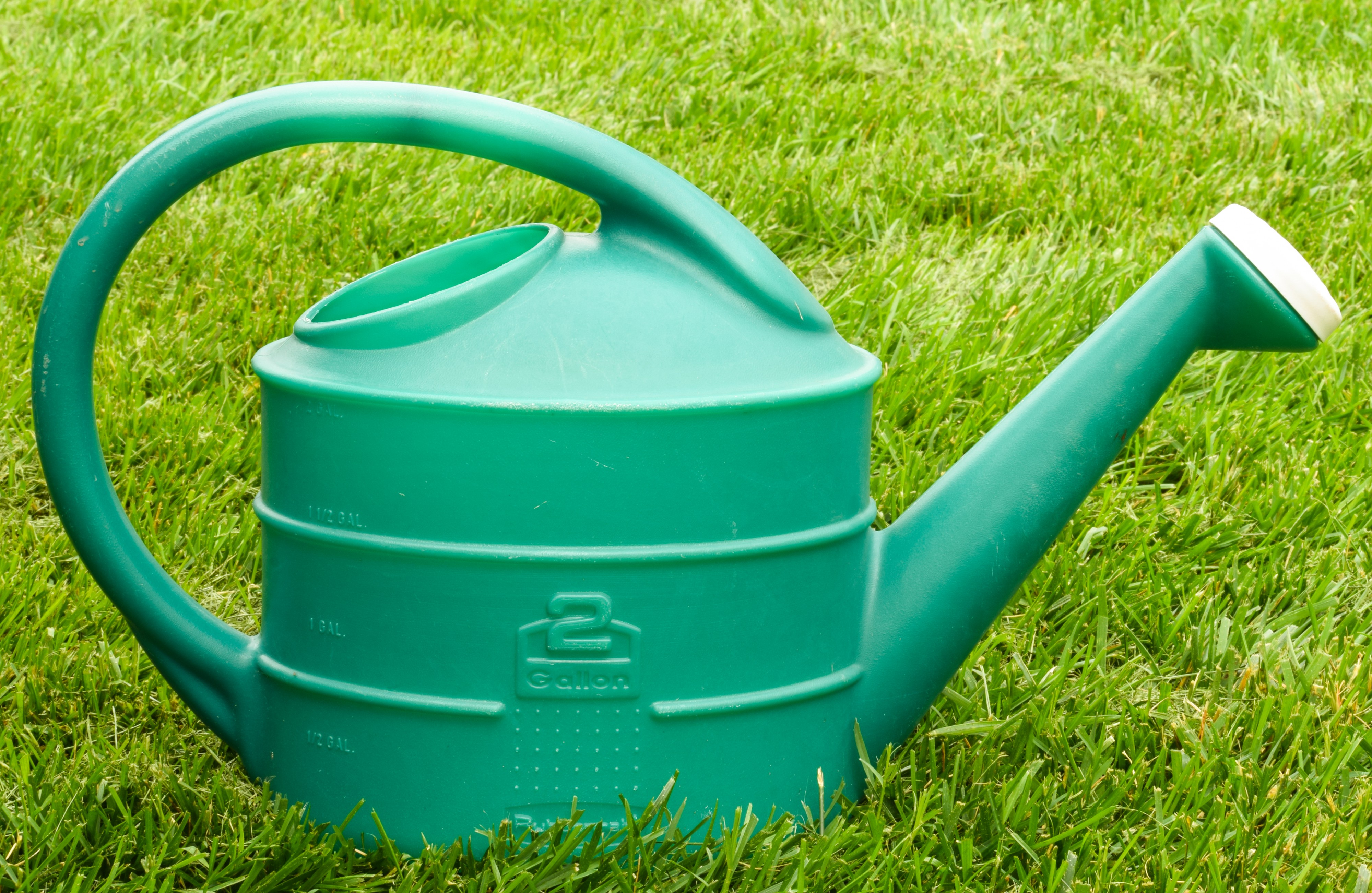Garden water jug