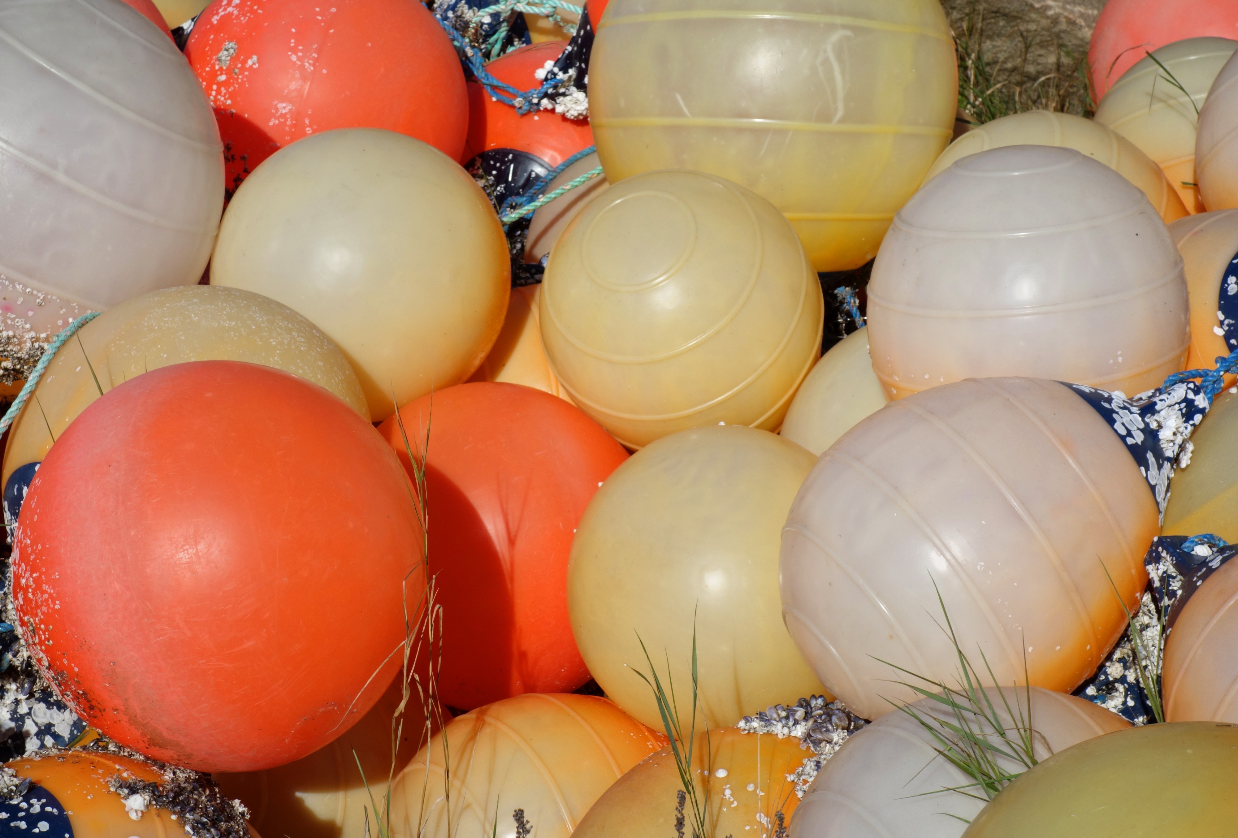 Multicolored plastic fishing balls