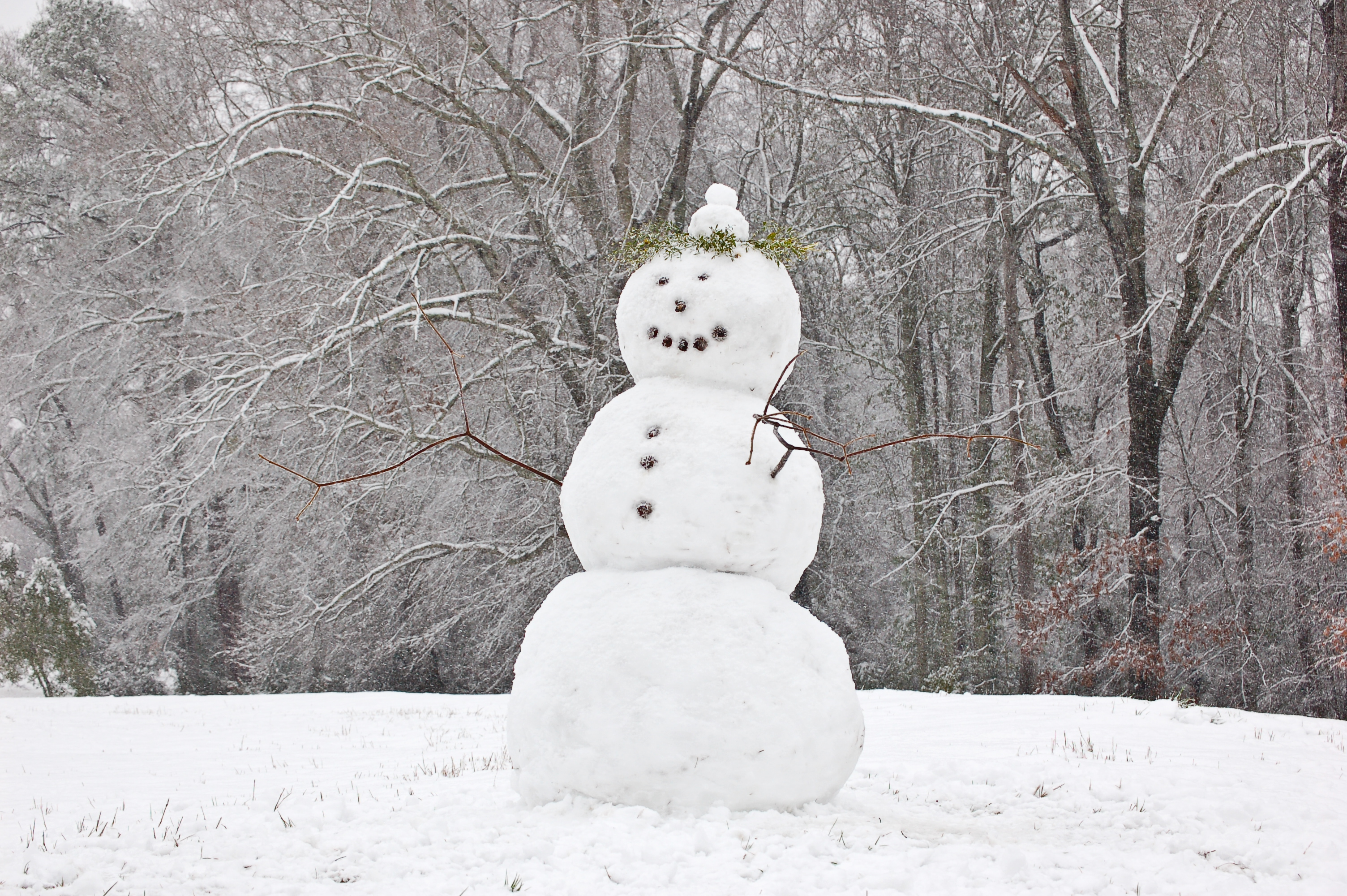 Auburn Alabama Snowman 2009