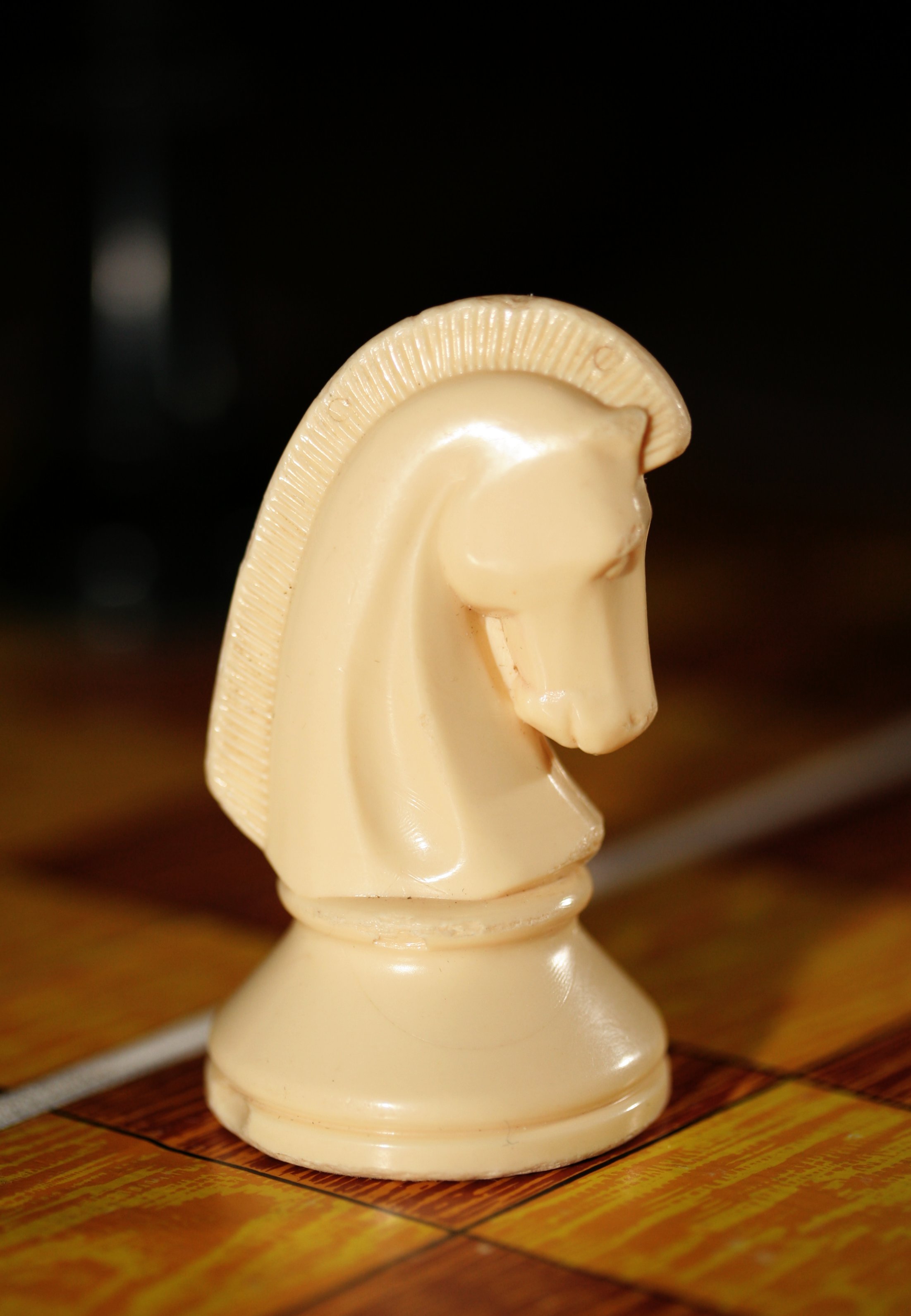 Chess knight 0971