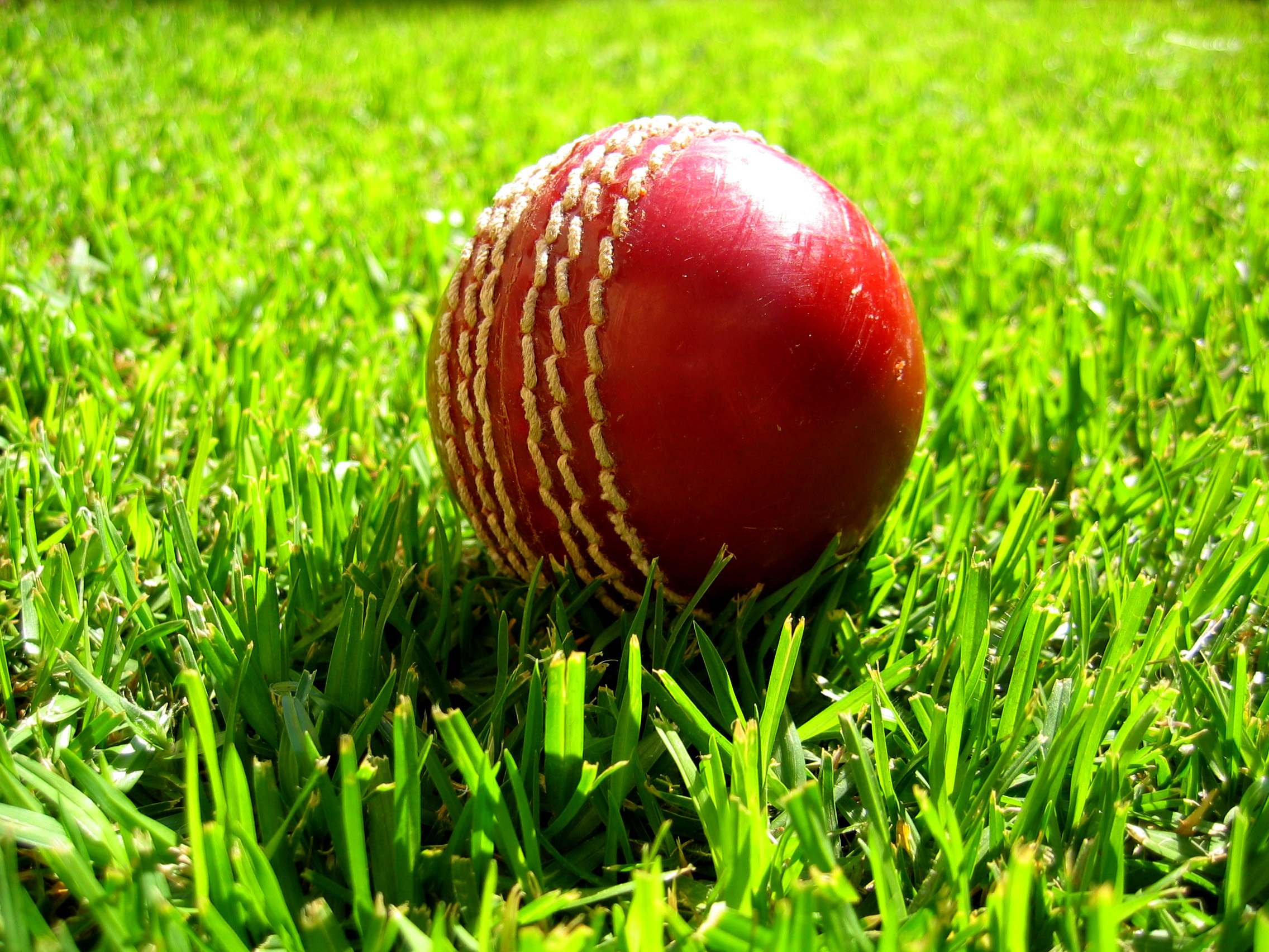 Cricket ball on grass