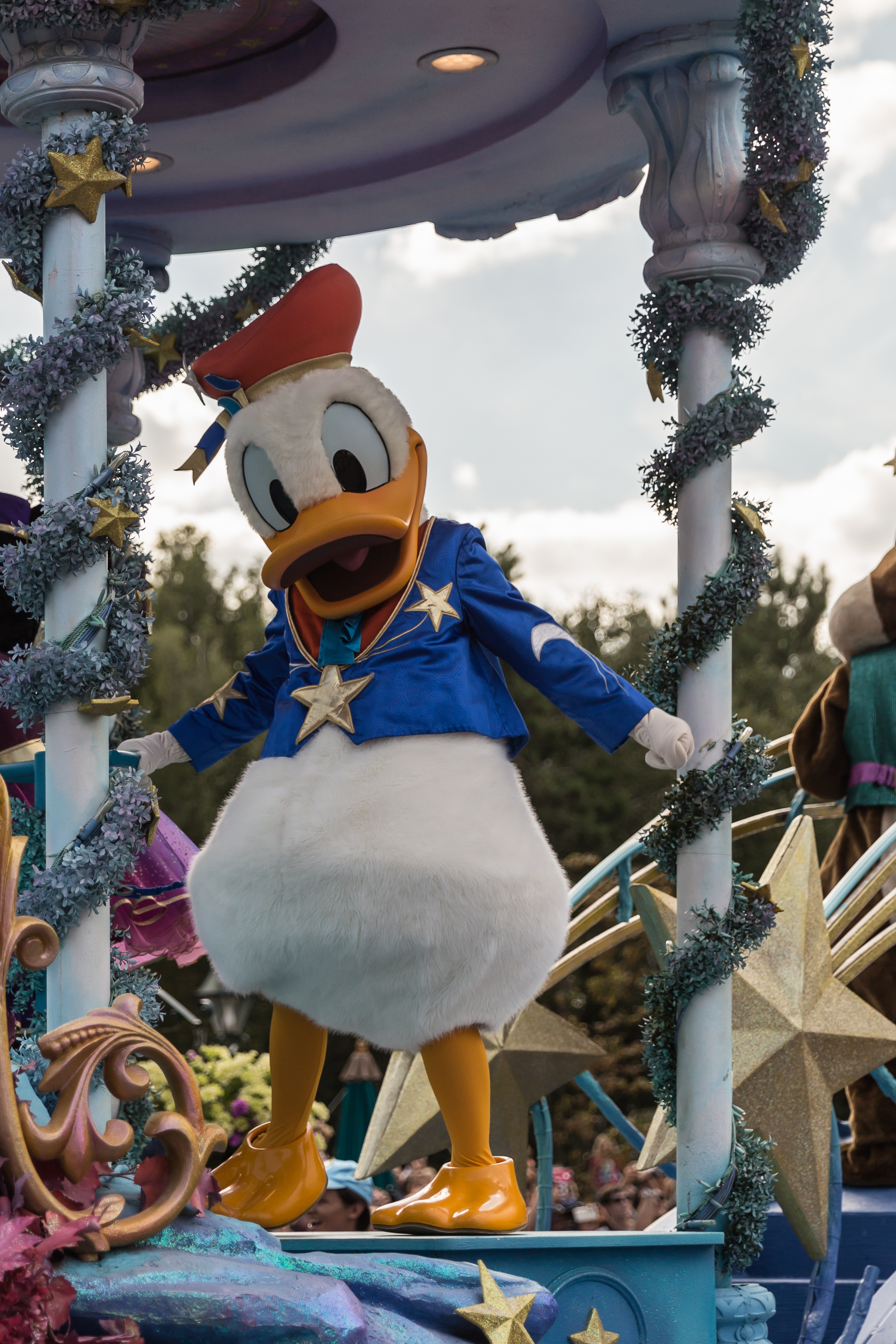 Donald Duck - 20150804 16h52 (10977)