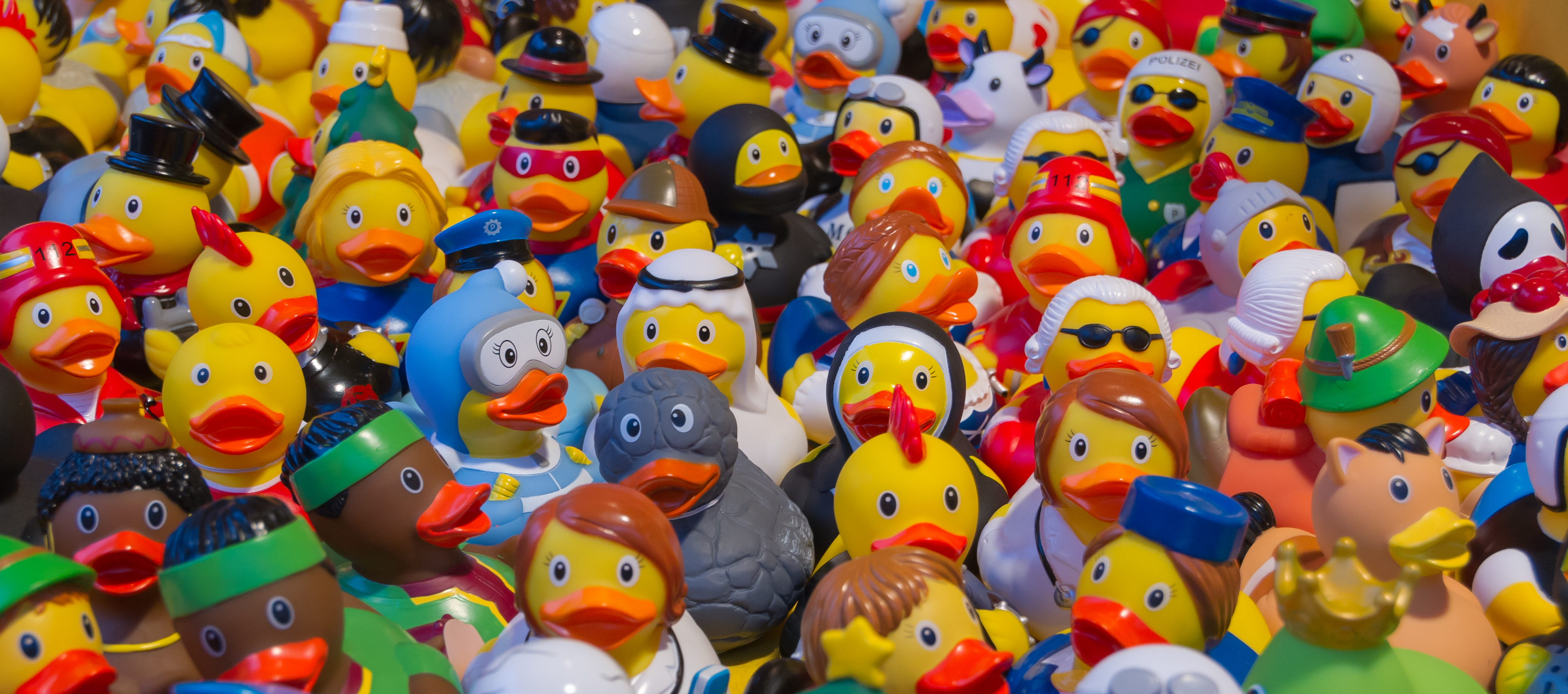 Ducks, ducks, ducks, Aachen, Germany