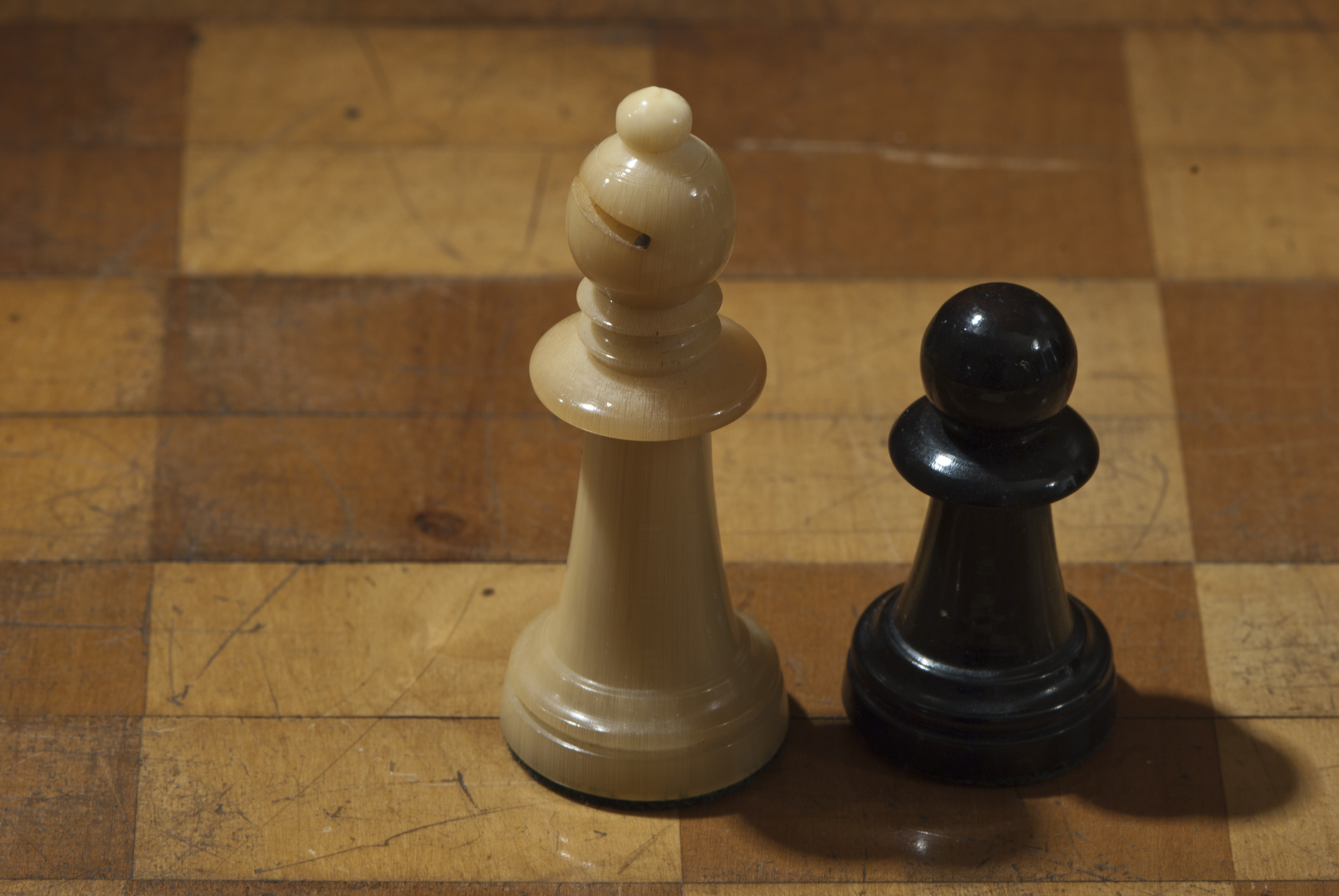 Makros-Schach-DSC 1097-352