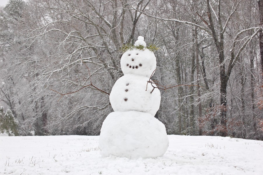 Auburn Alabama Snowman 2009