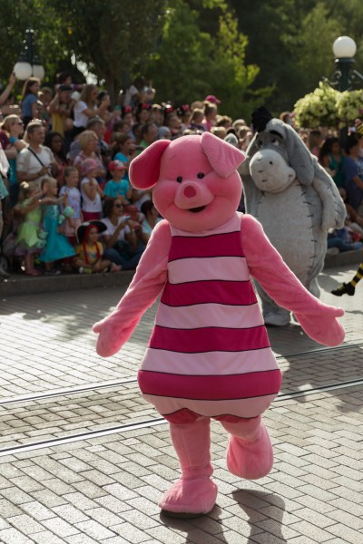Porcinet - Winnie l'ourson - 20150804 16h48 (10950)