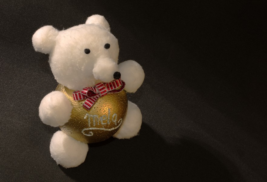 Reginas Bear161214