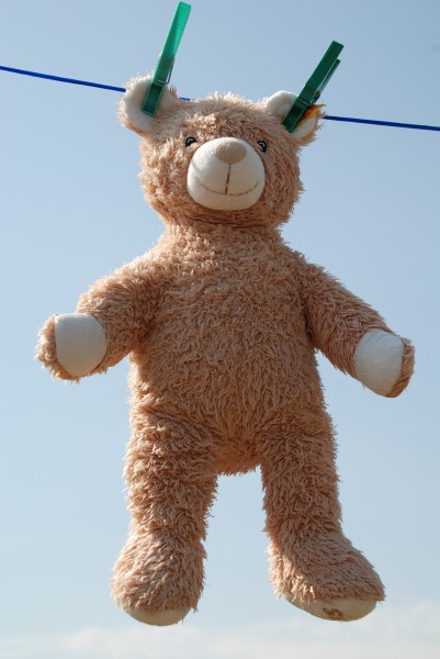 Teddy-online