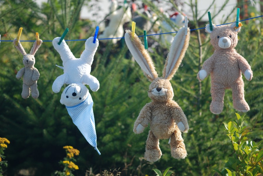 Teddys-on-line