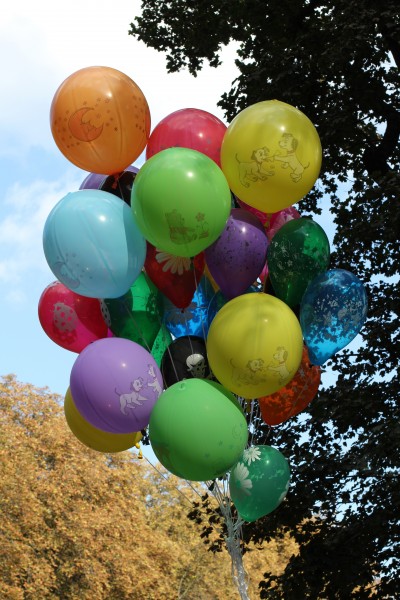 Toy balloons 2011 G2